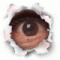 pilbund's Avatar