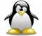 homeless penguin's Avatar
