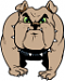 Dogma's Avatar