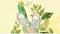 justdesol@yahoo.com's Avatar