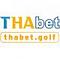 ThabetGolf's Avatar