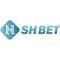 shbettsnet's Avatar